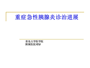 临床医学重症急性胰腺炎诊治进展ppt课件.ppt