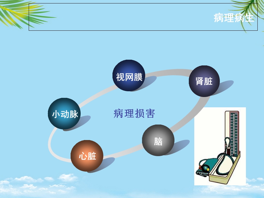 利尿剂湖南中西医结合学会课件.ppt_第2页