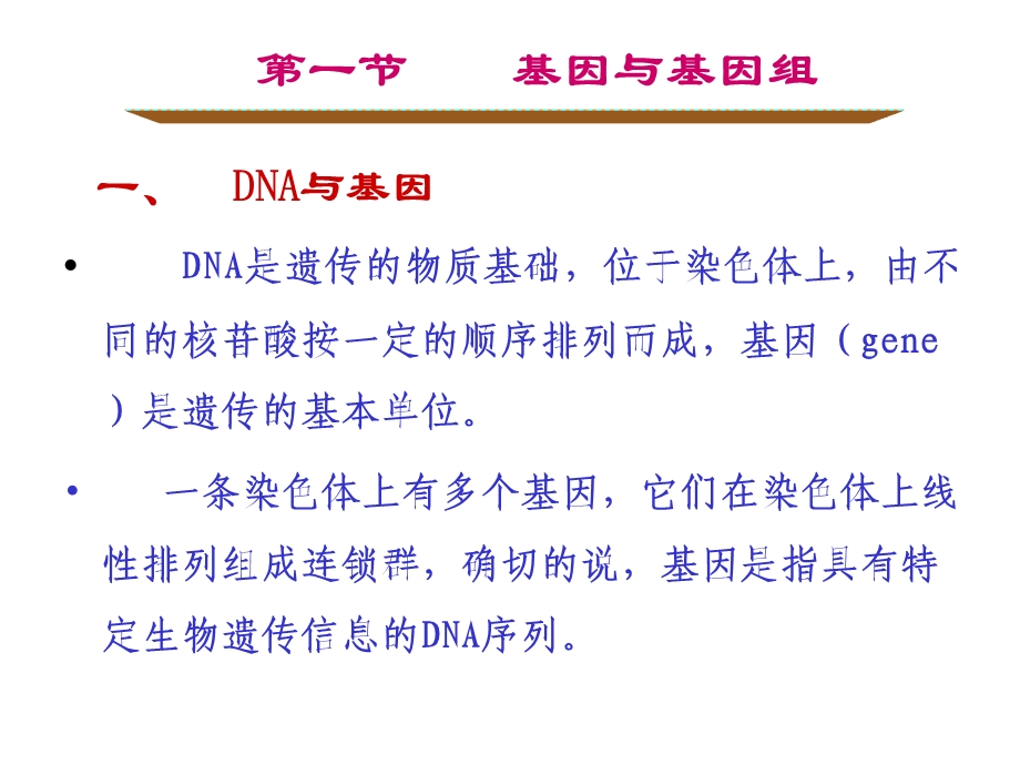 动物生物化学基因表达的调节课件.pptx_第2页