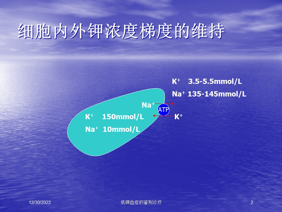 低钾血症的鉴别诊疗课件.ppt_第2页