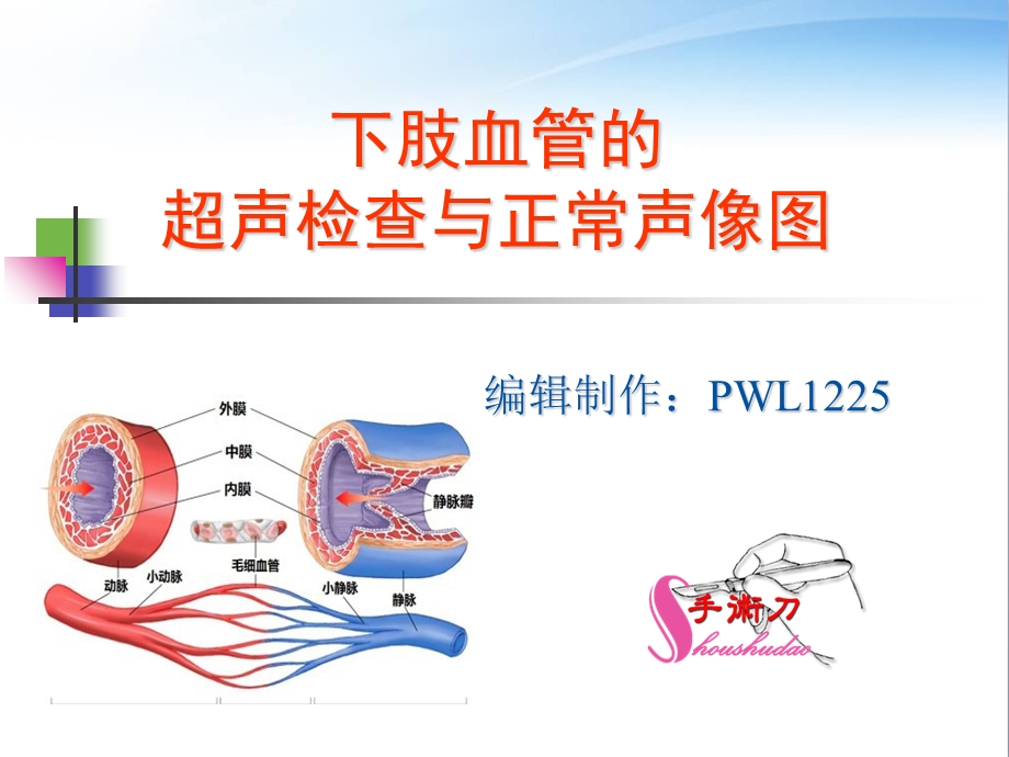 下肢血管的超声检查及正常声像图ppt课件.ppt_第1页