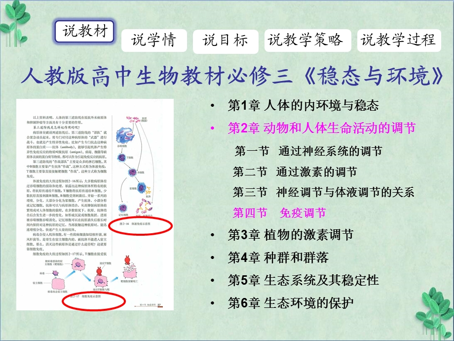 免疫调节课件(课件)95人教课标版.ppt_第3页