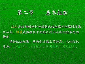 人体基本组织ppt课件.ppt