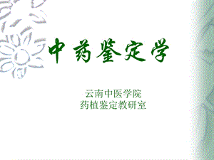 中药鉴定学ppt课件.ppt