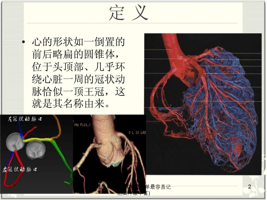 冠脉解剖与CTA(最简单最容易记忆图片最丰富)课件.ppt_第2页