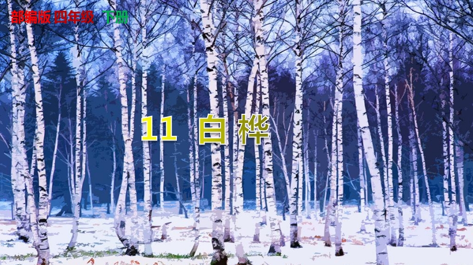 【统编教材】《白桦》PPT课件四年级下册第11课.pptx_第1页