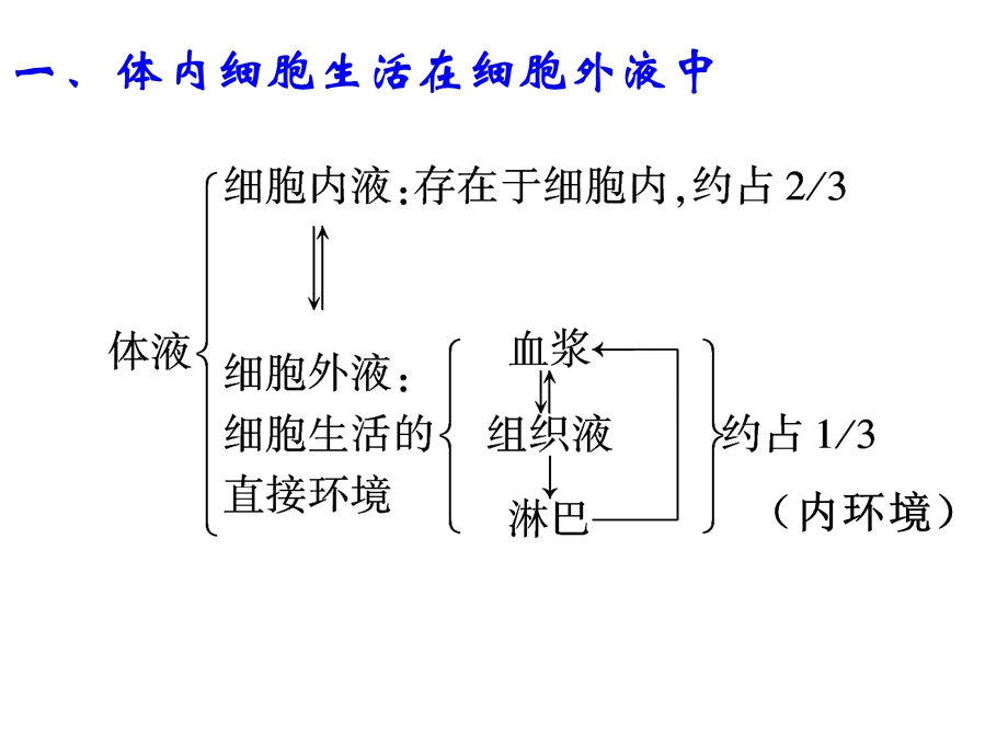 人体的内环境与稳态一轮复习ppt课件.ppt_第3页