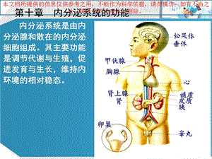 内分泌系统的功能培训课件.ppt