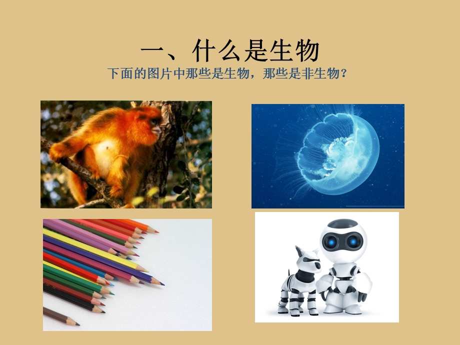 人教版七年级生物上册全套PPT课件.ppt_第3页