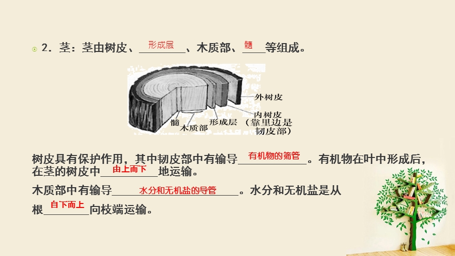 中考复习生命科学4绿色植物的水盐代谢ppt课件.pptx_第3页