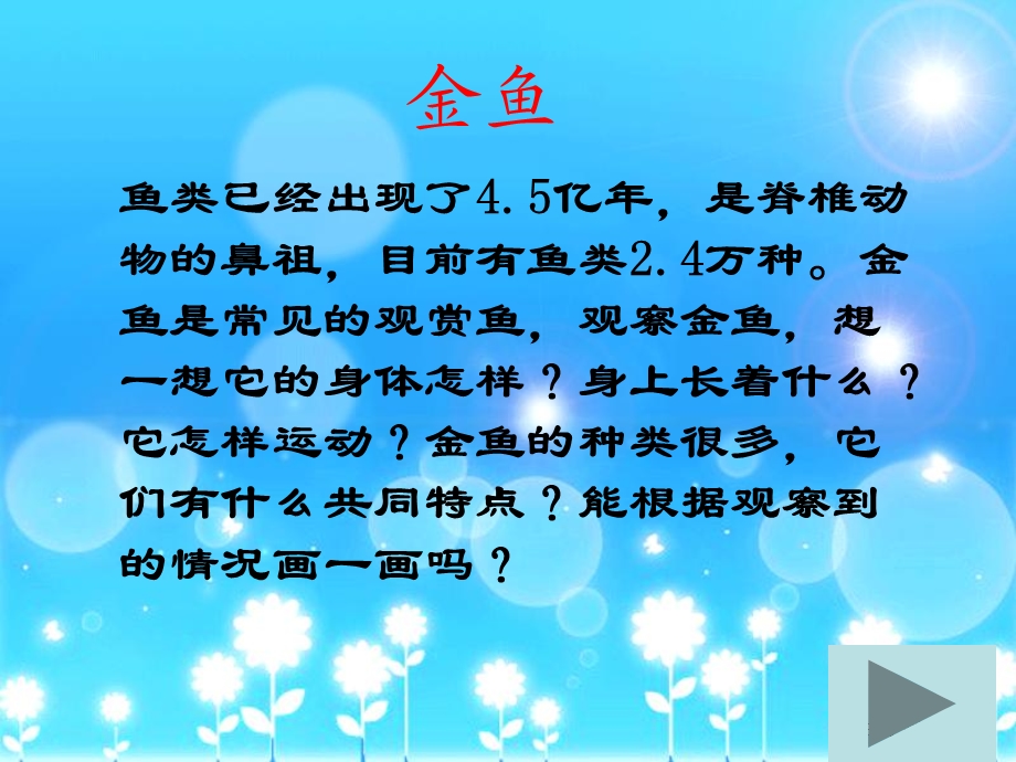 《金鱼》ppt课件.ppt_第1页