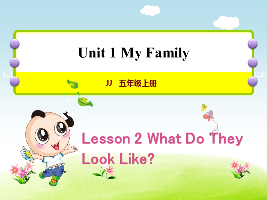 冀教版小学英语五5年级上册Unit1Lesson2WhatDoTheyLookLike授课课件.ppt_第1页