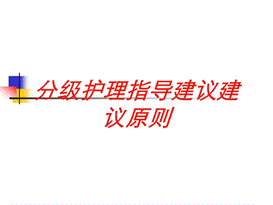 分级护理指导建议建议原则培训课件.ppt