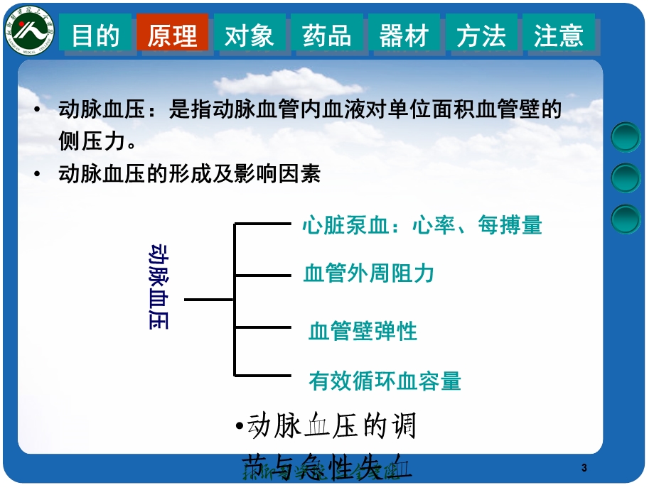 动脉血压的调节与急性失血性休克培训课件.ppt_第3页