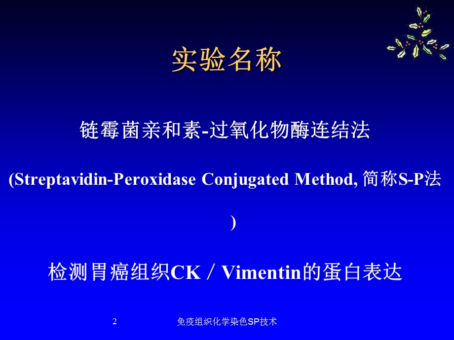 免疫组织化学染色SP技术培训课件.ppt_第2页