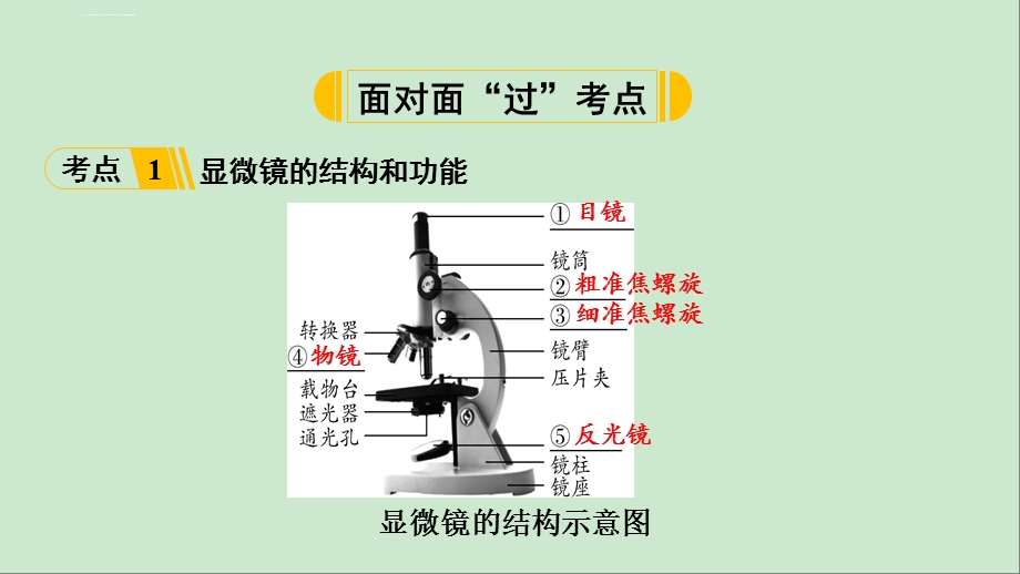 中考生物复习第二讲ppt课件.ppt_第3页