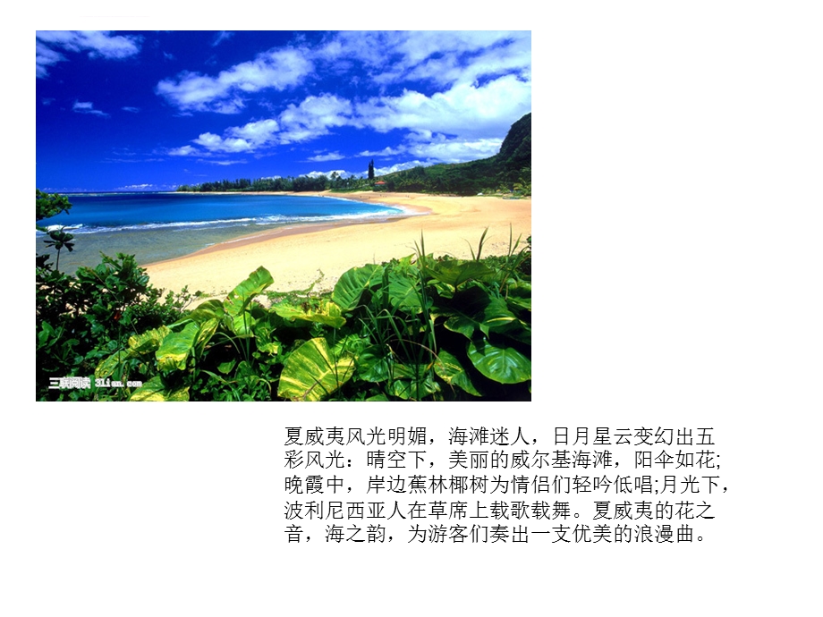 一年级海洋教育美丽的海滩ppt课件.ppt_第1页