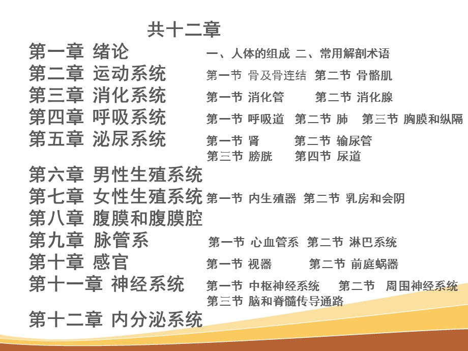 人体解剖图解ppt课件.ppt_第2页