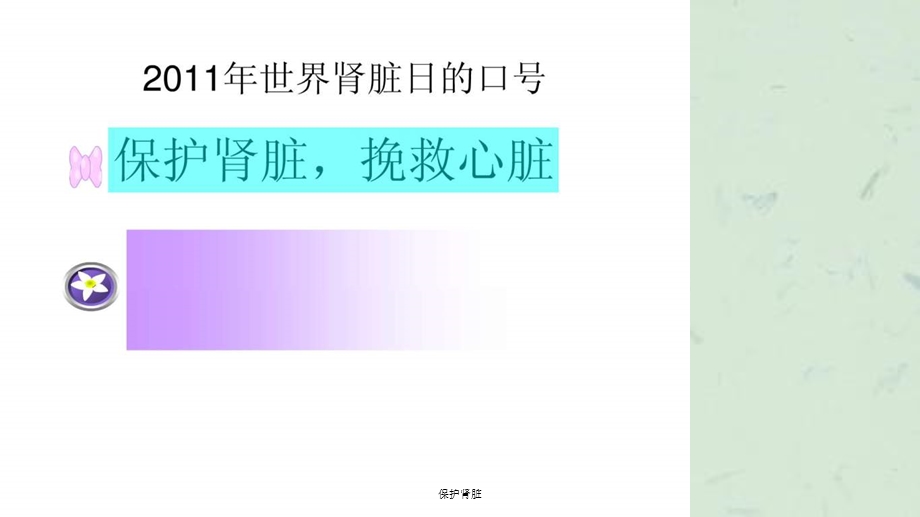 保护肾脏课件.ppt_第3页