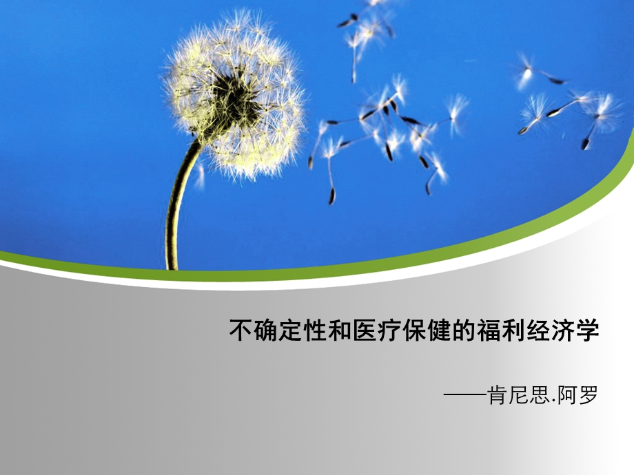 不确定性和医疗保健的福利经济学ppt课件.ppt_第1页