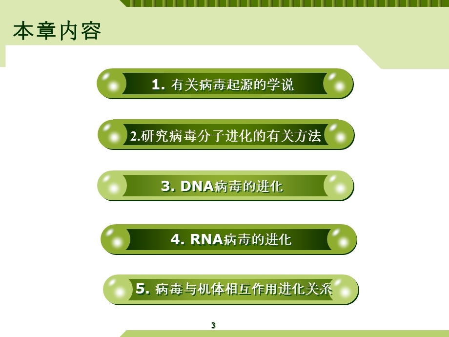 六章病毒的进化课件.ppt_第3页