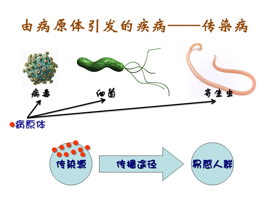 主题十：健康地生活ppt课件.pptx_第3页