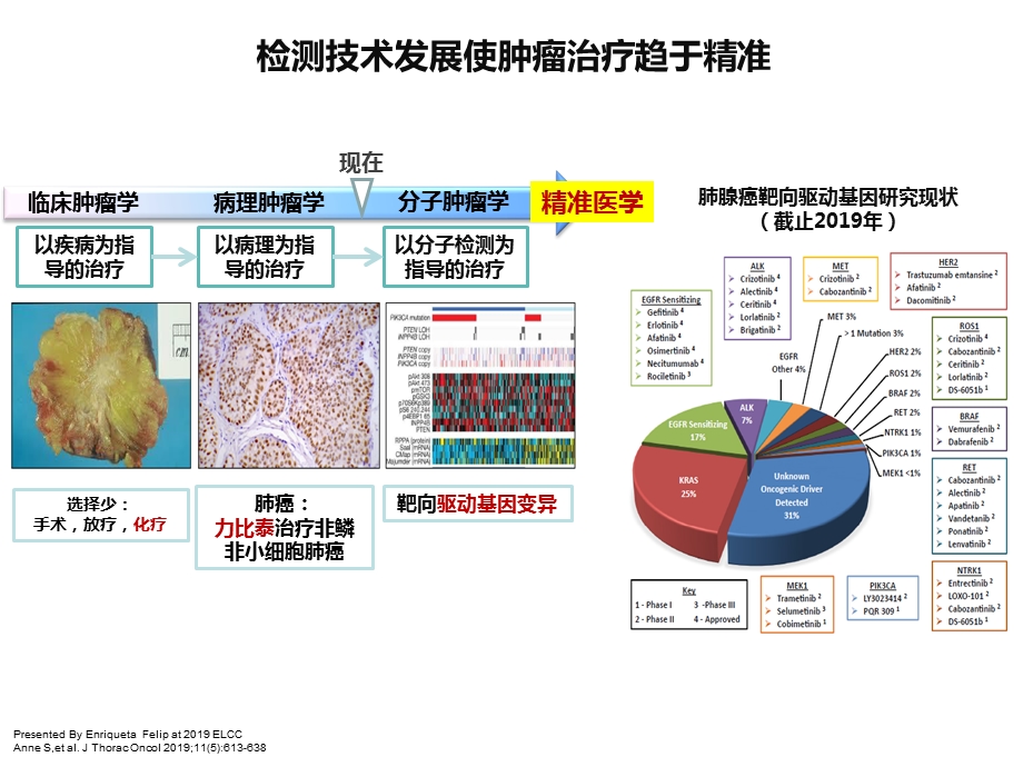 从临床研究到临床实践晚期NSCLC一线方案选择课件.ppt_第2页