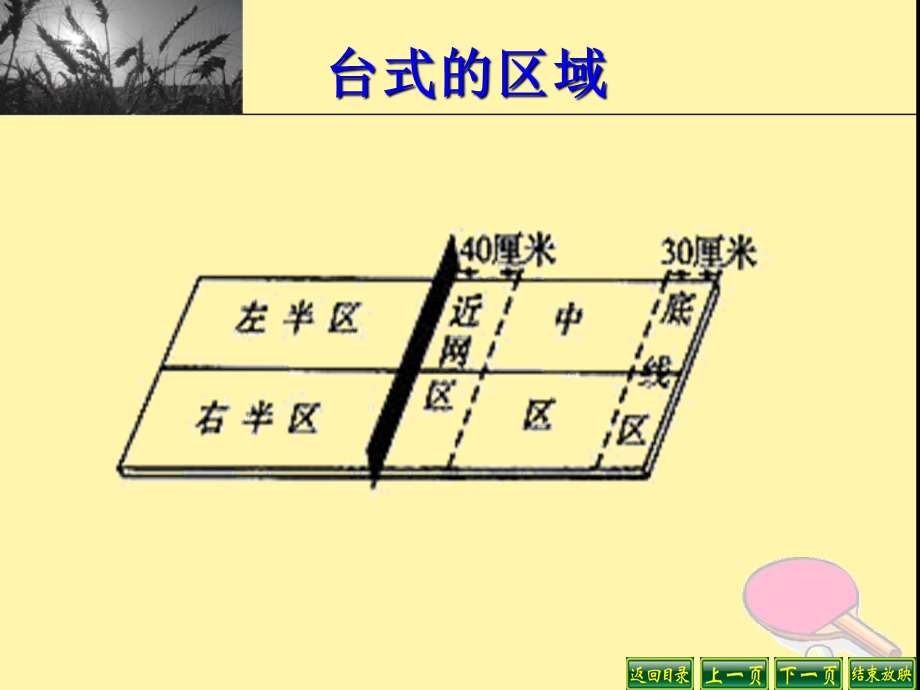 乒乓球PPT课件.ppt_第3页