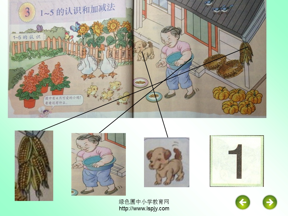 一年级数学上册第三单元1到5的认识ppt课件.ppt_第3页