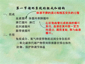 人体解剖生理学循环系统的结构和功能ppt课件.pptx