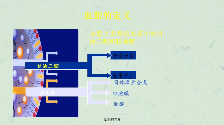 他汀临床应用课件.ppt_第3页