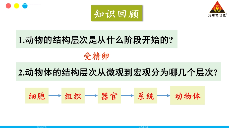 人教版七年级生物上册第三节植物体的结构层次ppt课件.ppt_第2页