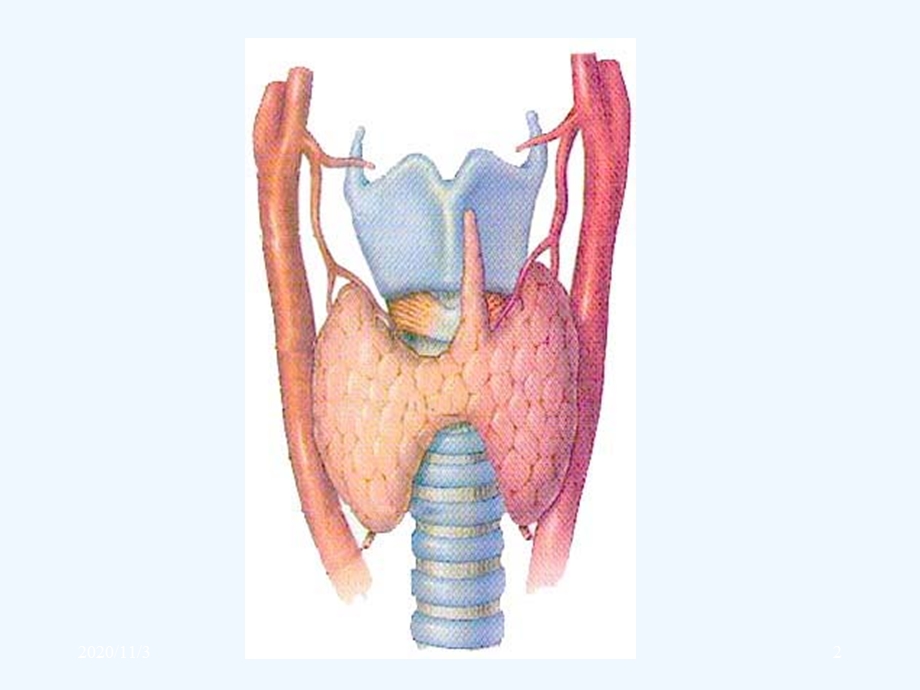 内分泌系统疾病甲状腺疾病课件.ppt_第2页