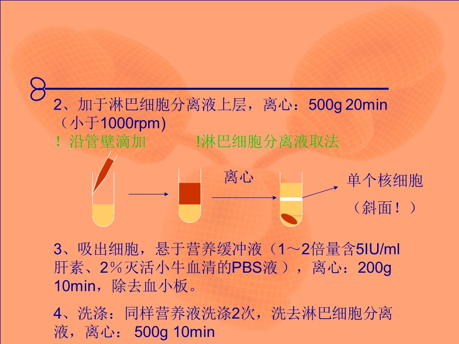 免疫实验免疫学及免疫检测技术试验课件.ppt_第3页