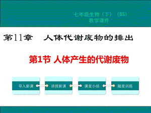 北师大版七年级生物下册第11章人体代谢废物的排出课件.pptx