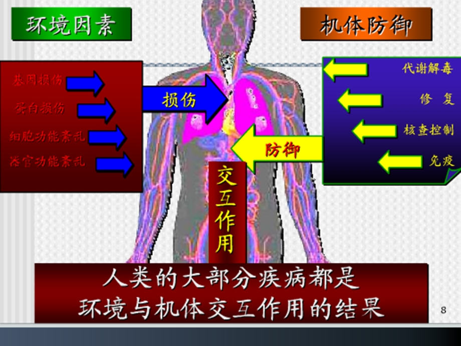 化学毒物的免疫毒性教学课件.ppt_第3页