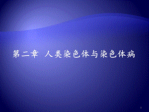 分子遗传学第二章人类染色体与染色体病分析课件.ppt