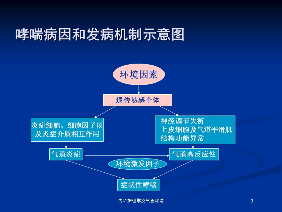 内科护理学支气管哮喘培训课件.ppt_第3页