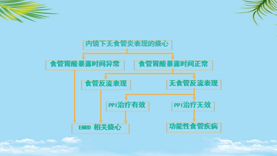 功能性食管疾病课件.pptx_第3页