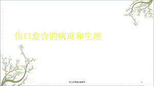 伤口的病理生理课件.ppt