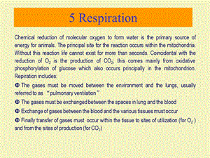 动物生理学5呼吸系统生理上课件.ppt