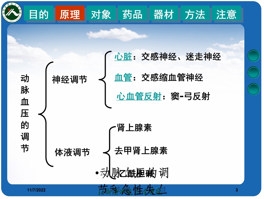 动脉血压的调节和急性失血性休克课件.ppt_第3页