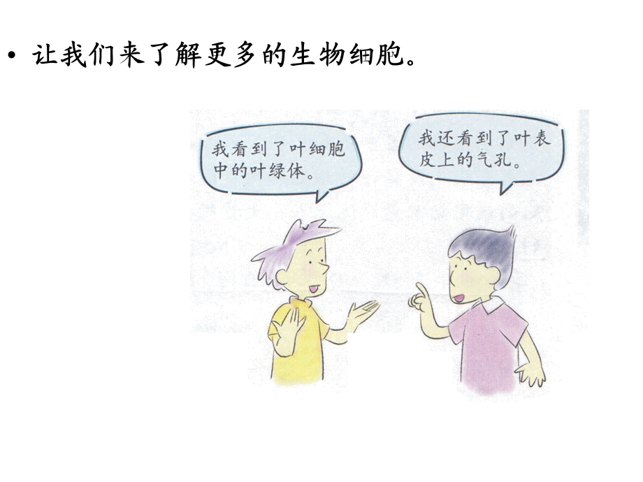 《用显微镜观察生命世界(二)》ppt课件.ppt_第2页