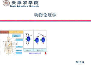 动物免疫学绪论课件.ppt