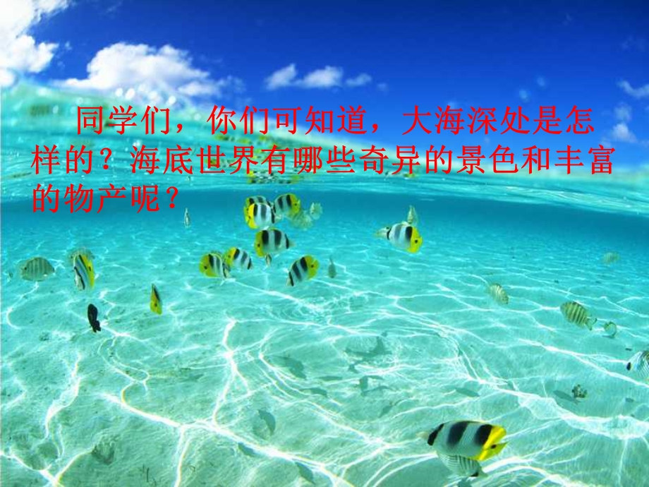 三年级语文海底世界ppt课件.ppt_第2页