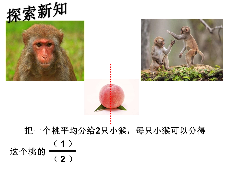 分数的初步认识(二)课件.ppt_第3页