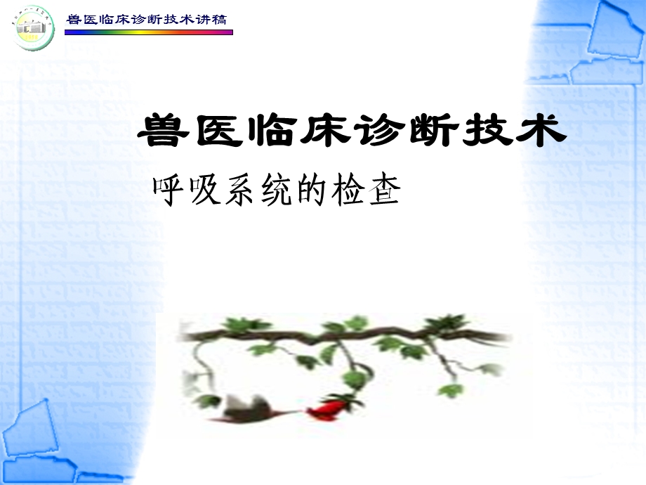 兽医临床诊断技术讲稿呼吸系统课件.ppt_第1页