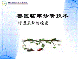 兽医临床诊断技术讲稿呼吸系统课件.ppt