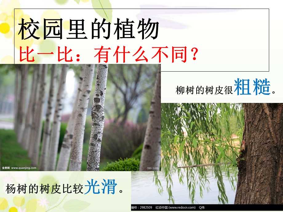 一年级科学第十一课看茎认植物ppt课件.ppt_第2页