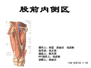 《股前内侧区》ppt课件.ppt